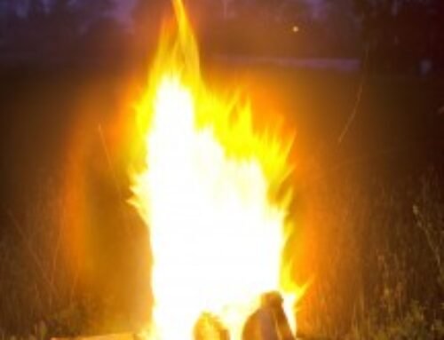 מדורת הגן פינת האש בגינה – מוקד חום.